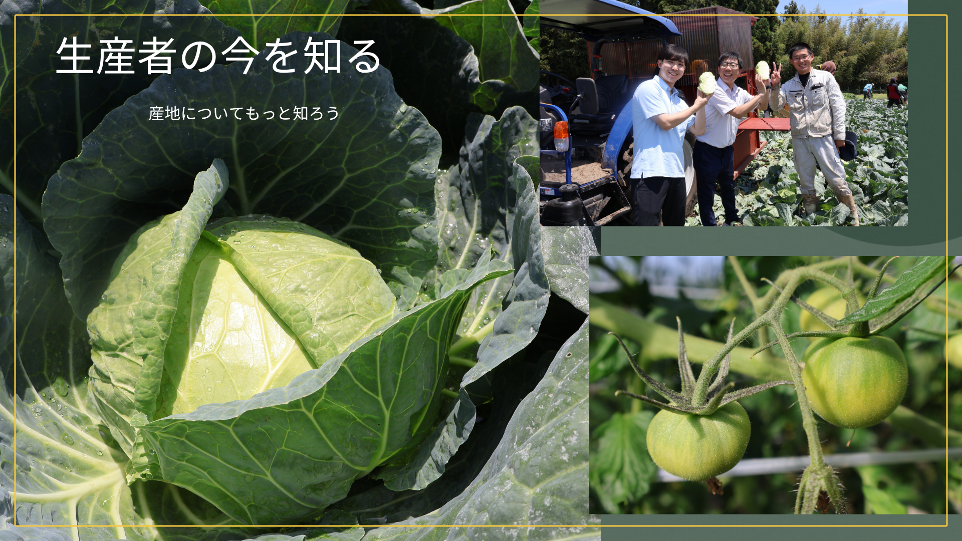生産者・産地