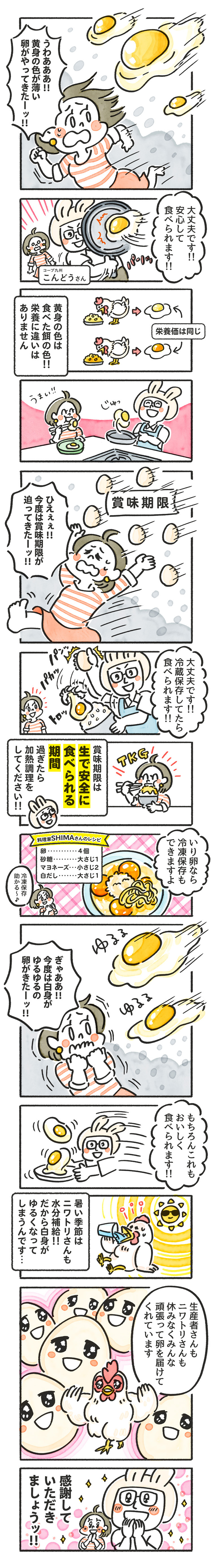 204. たまごの「ヒミツ」と「困った」を解決！